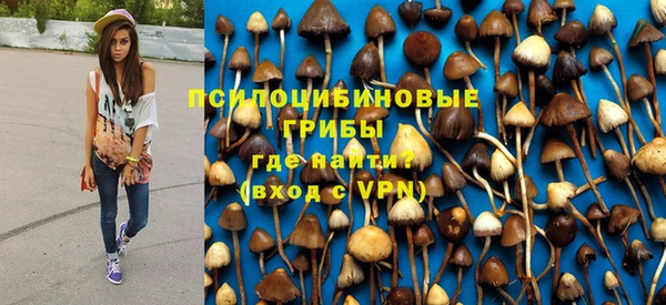 соль ск Навашино