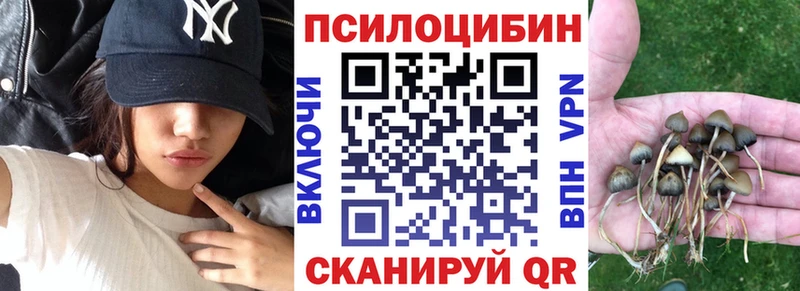 Псилоцибиновые грибы мицелий  MEGA ссылка  Ногинск 