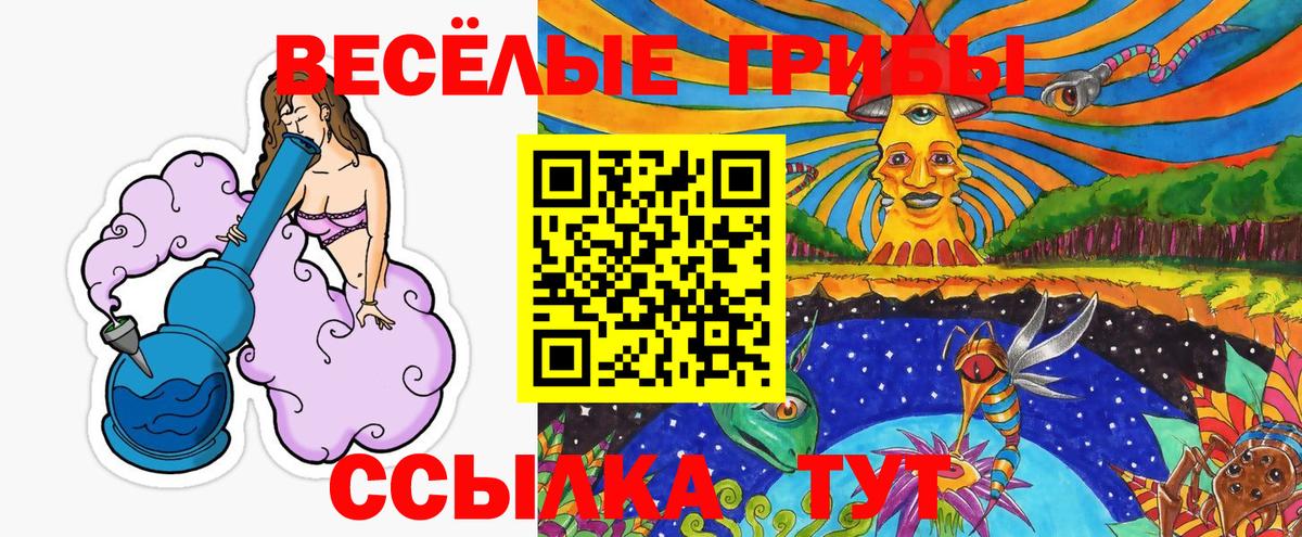 Псилоцибиновые грибы мицелий Ногинск