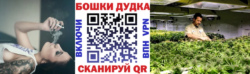Бошки Шишки гибрид  Ногинск 