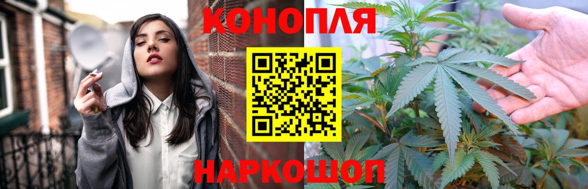 Шишки марихуана гибрид  Вход с VPN  Ногинск  Бошки марихуана THC 21%  Бошки марихуана марихуана 
